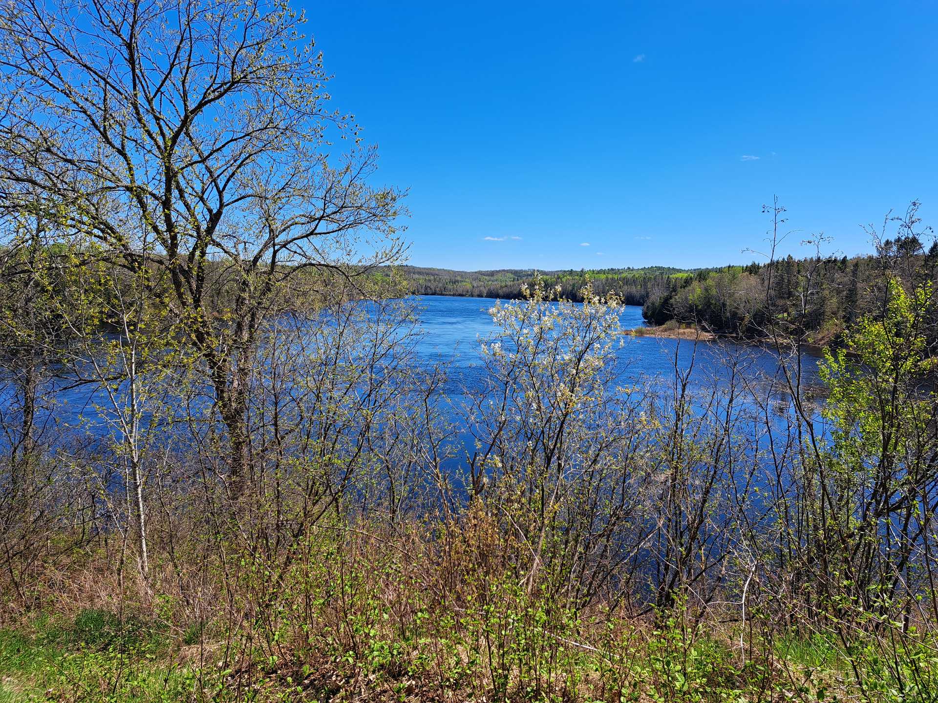 Vue sur l'eau