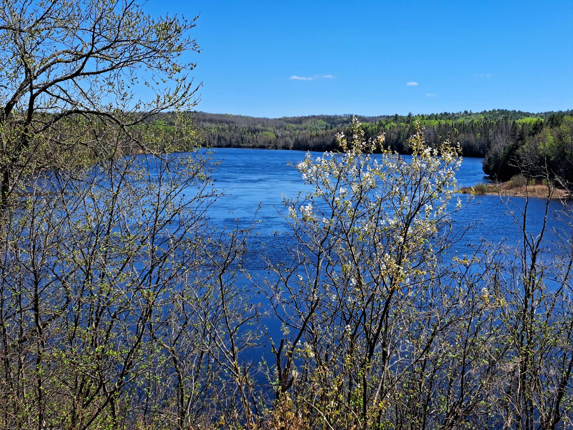 Vue sur l'eau