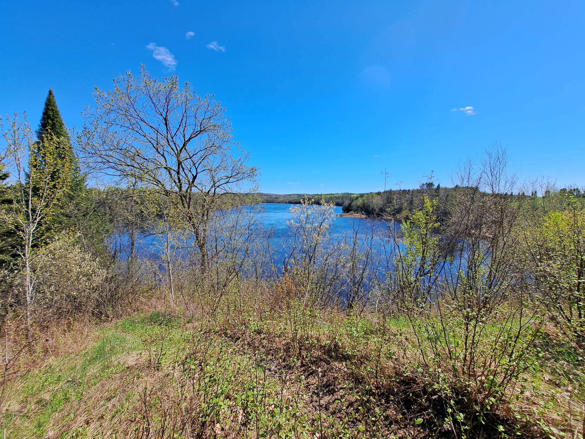 Vue sur l'eau