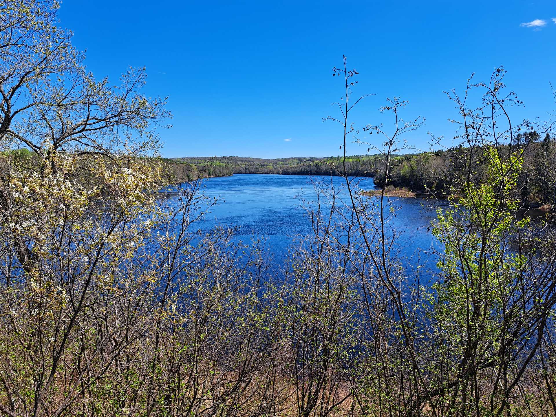Vue sur l'eau