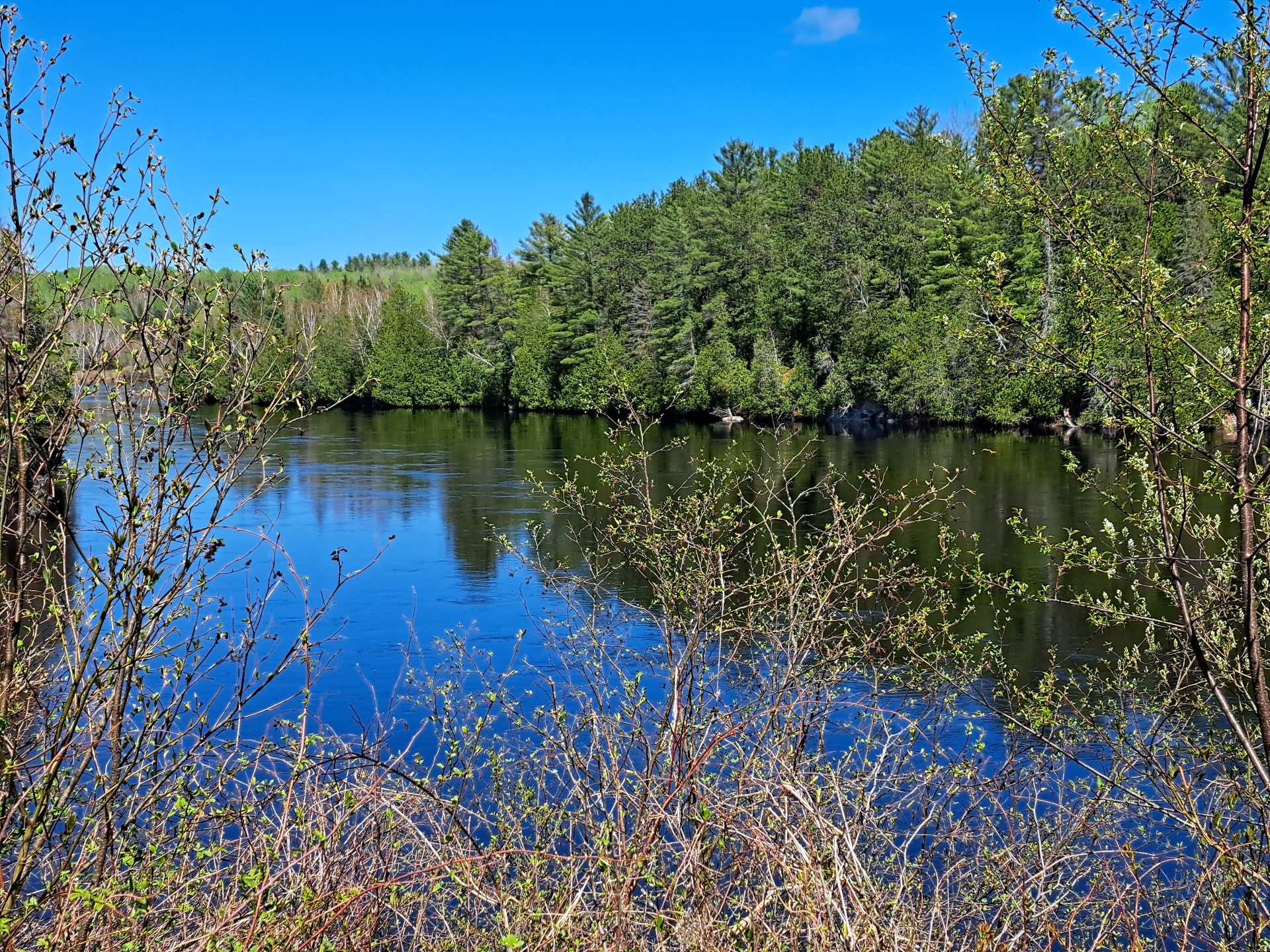 Vue sur l'eau