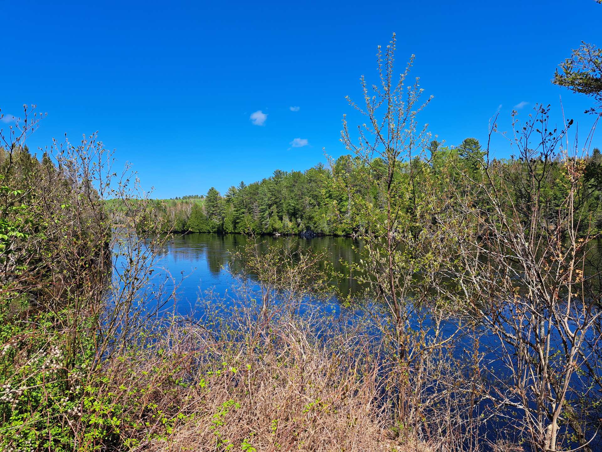 Vue sur l'eau