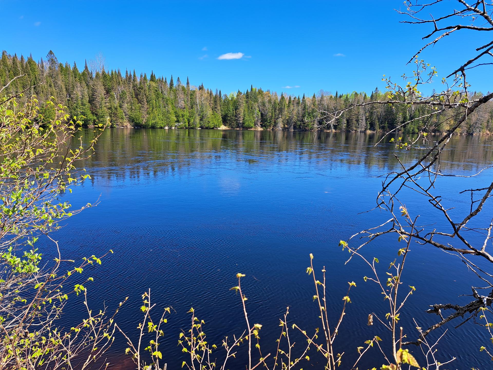 Vue sur l'eau