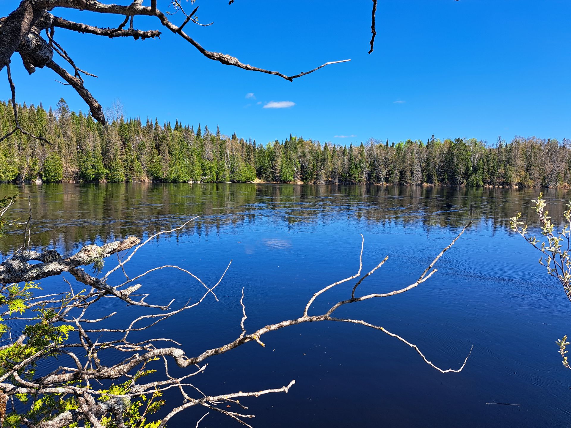 Vue sur l'eau