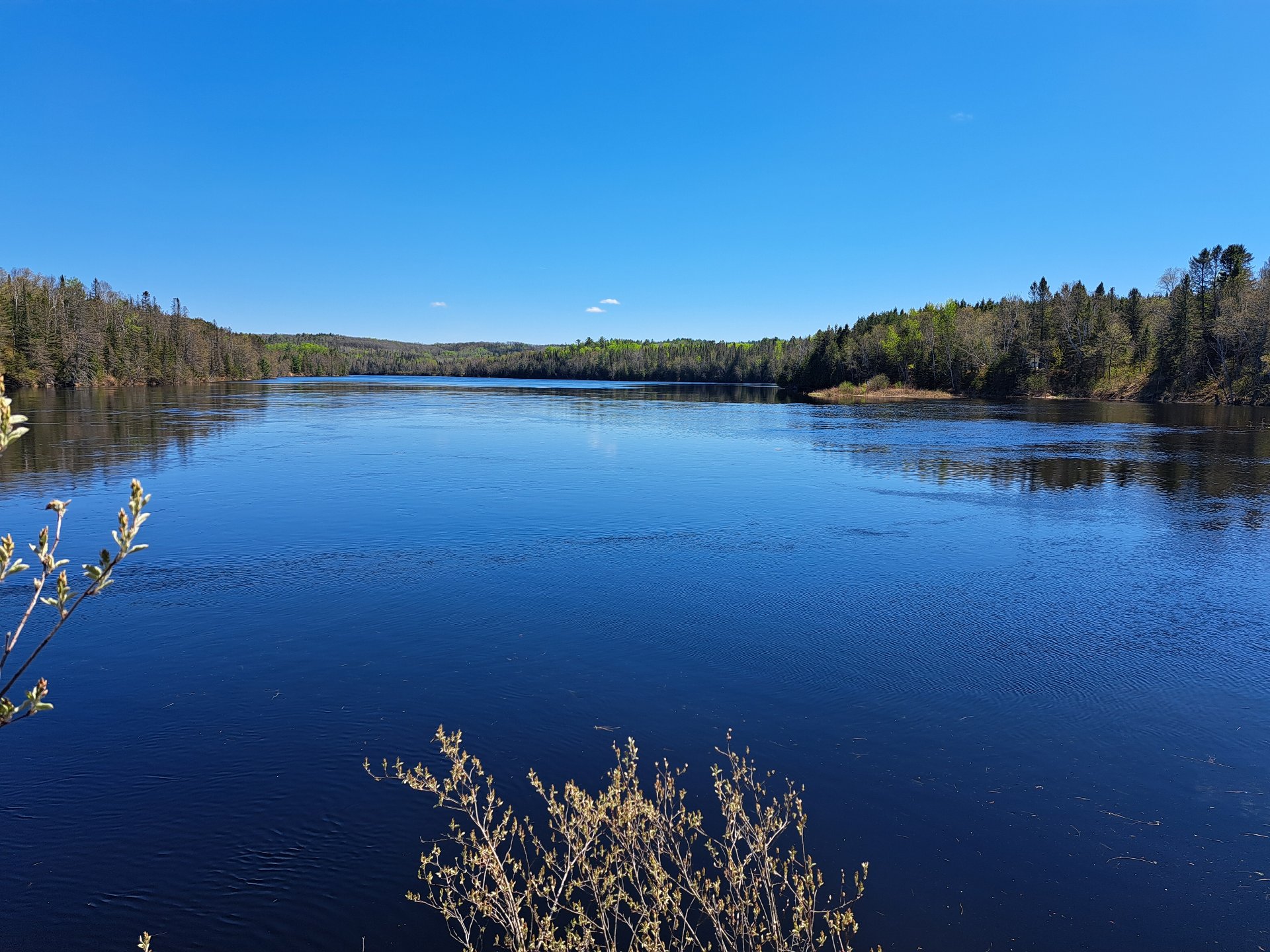 Vue sur l'eau