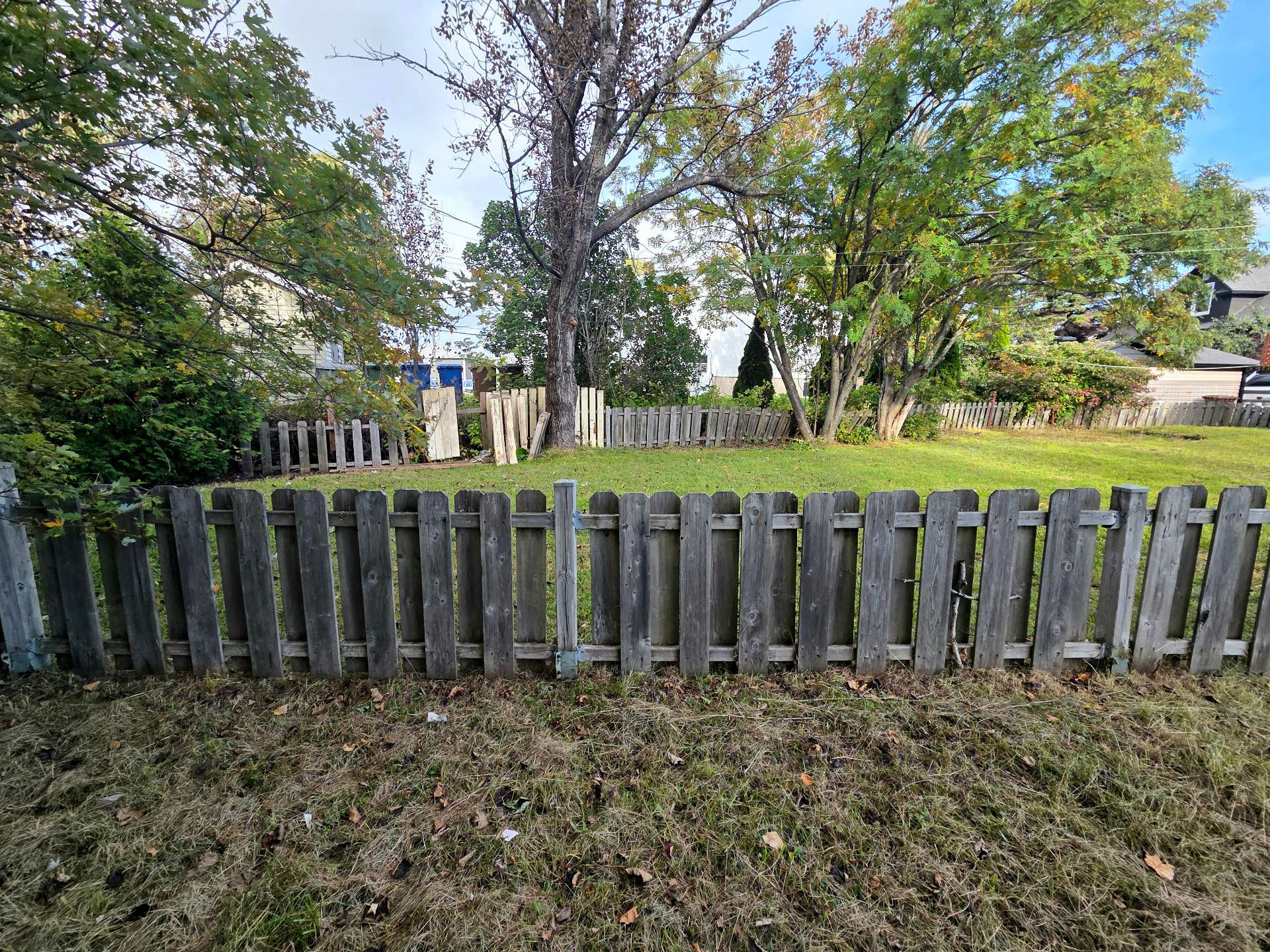 Backyard
