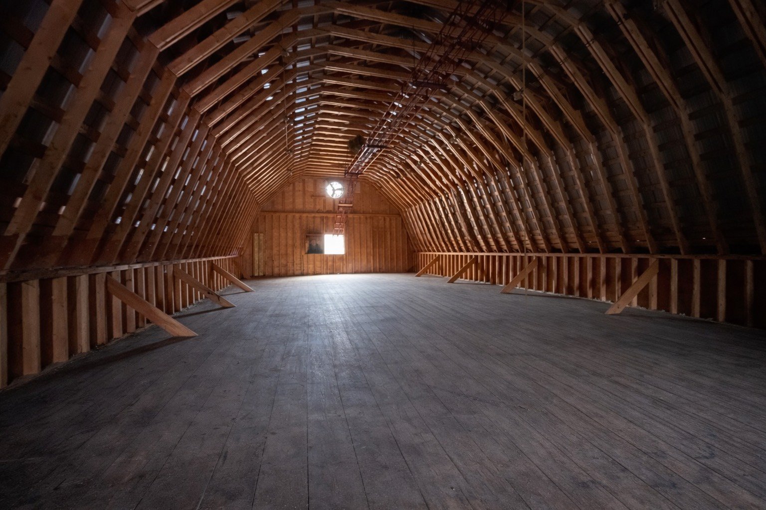 Photo nettoyée à l'aide de l'IA