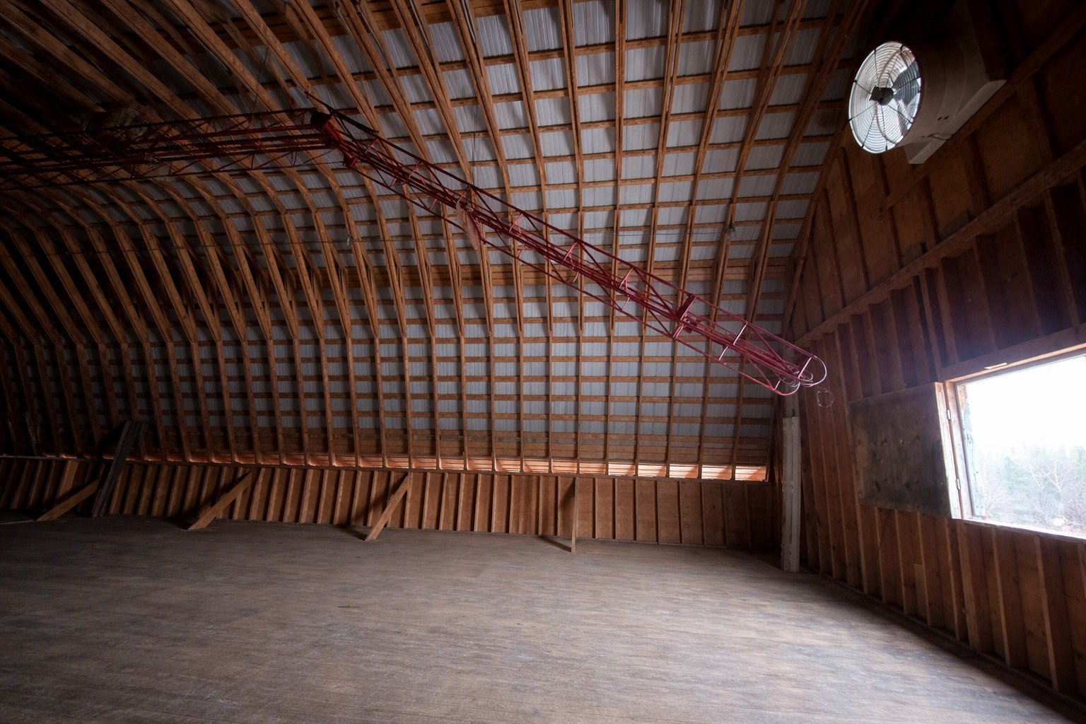 Photo nettoyée à l'aide de l'IA