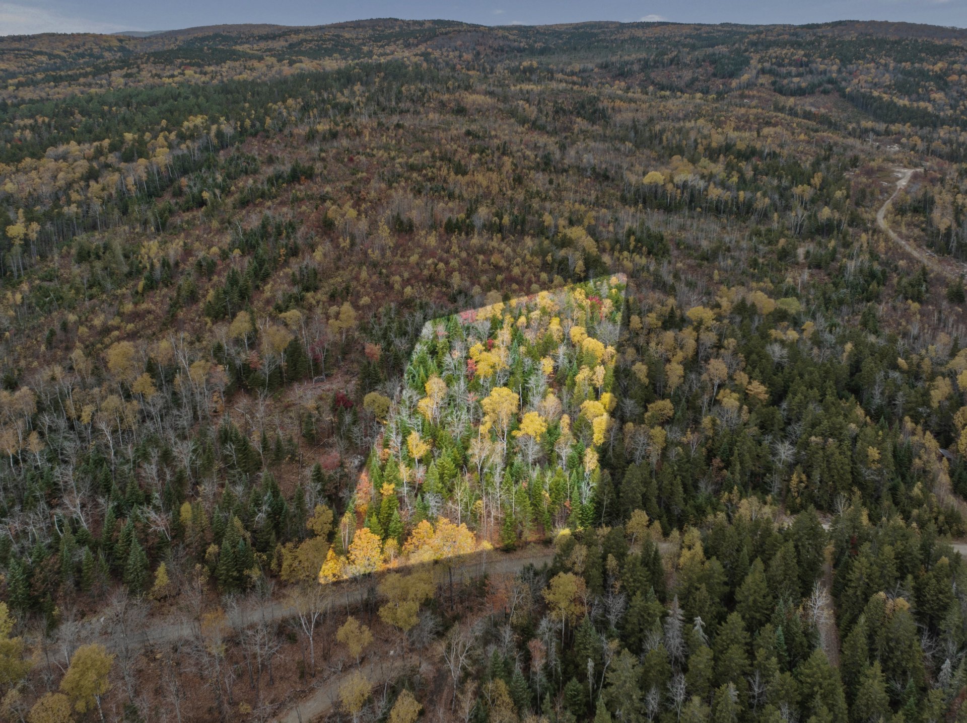 Délimitations approximatives