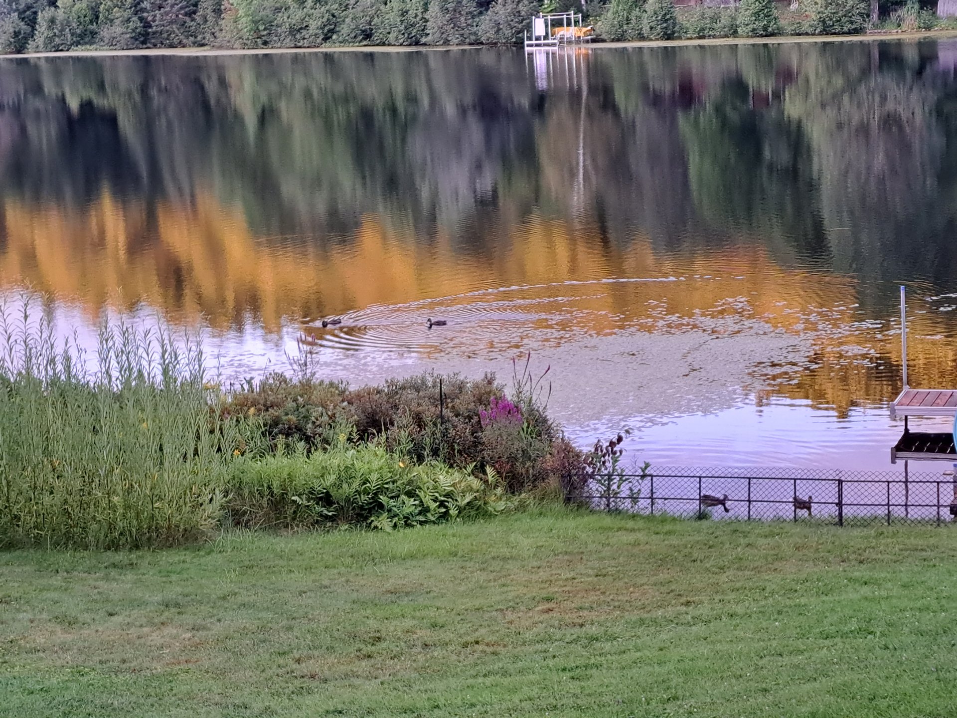 Water view