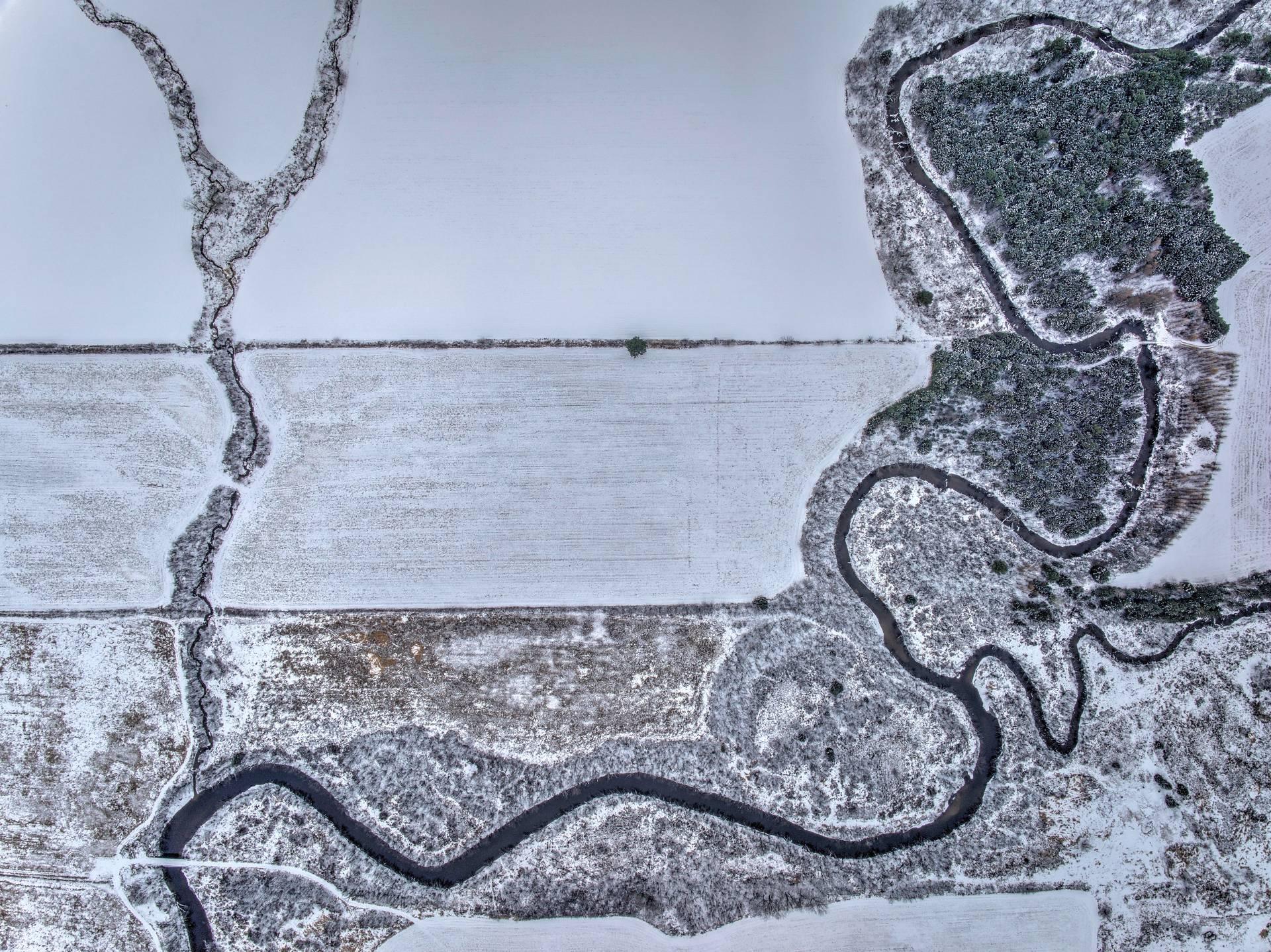 Photo d'hiver