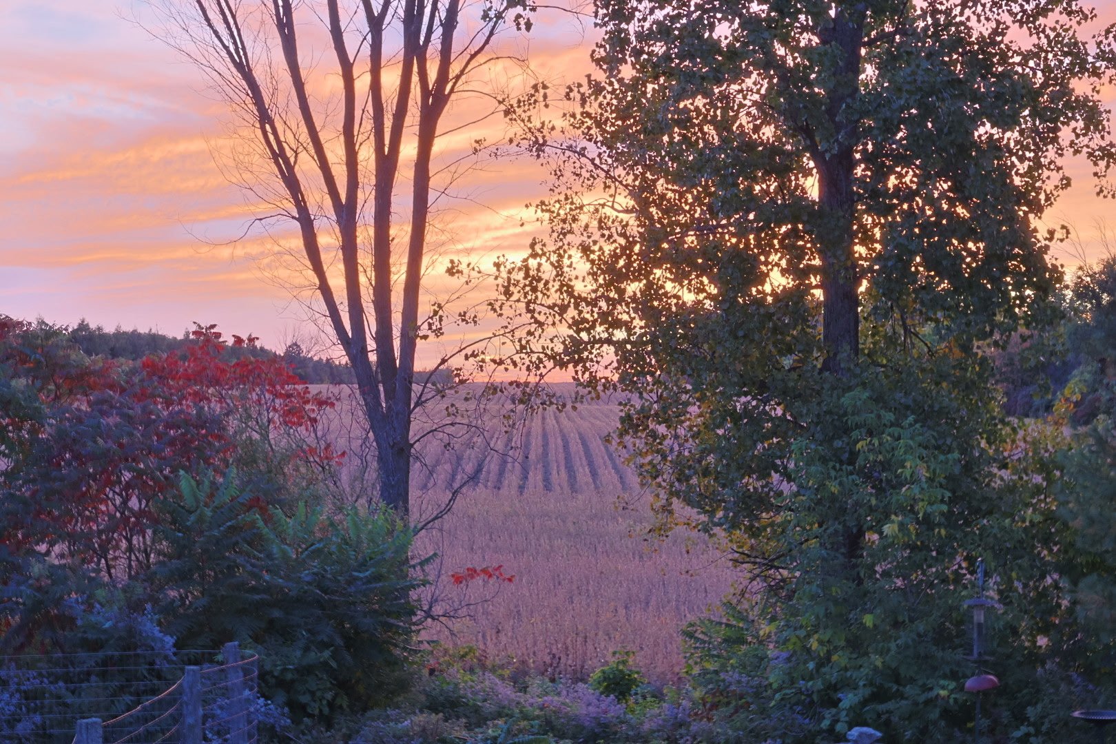 Coucher de soleil