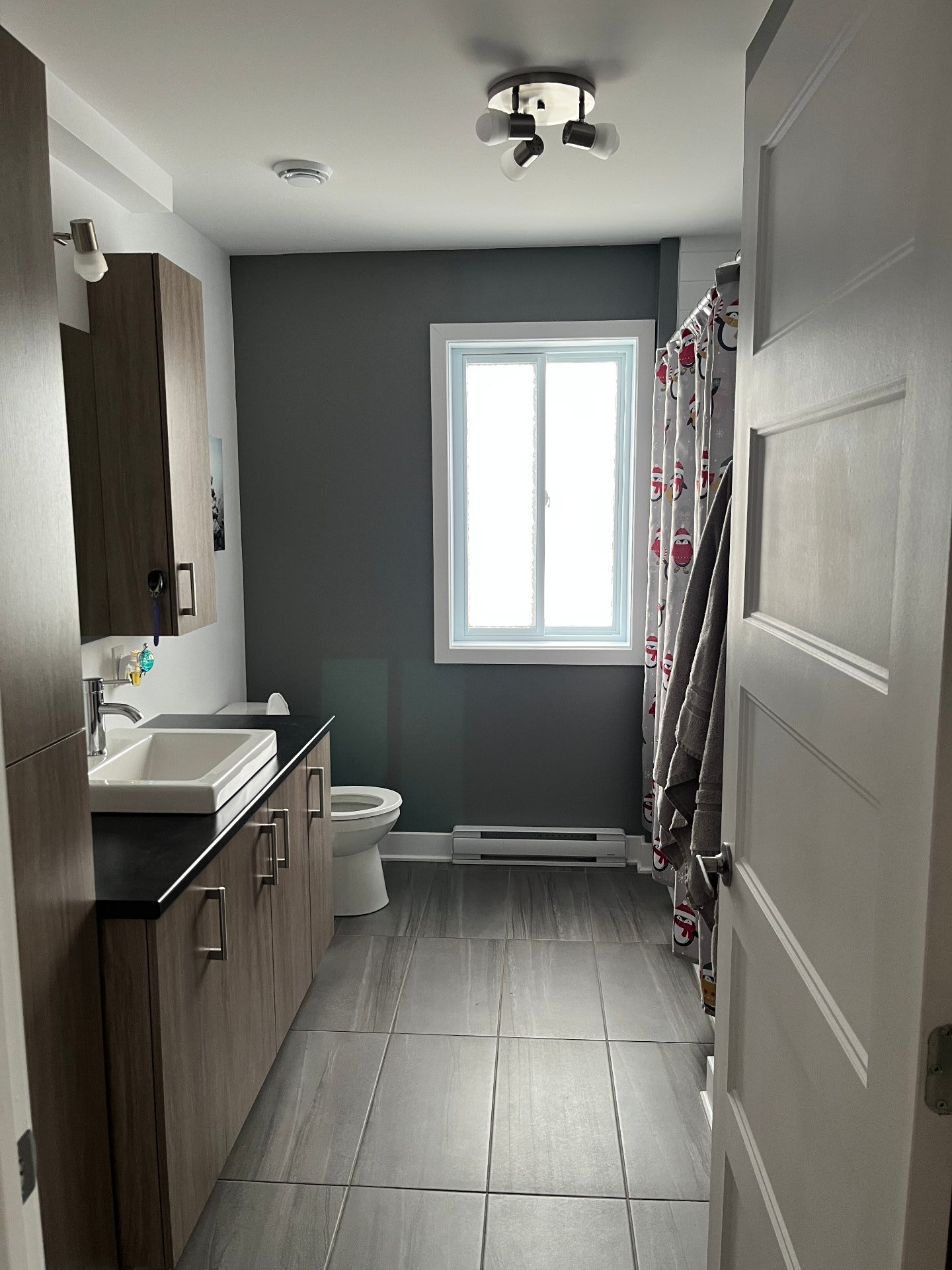 Salle de bains