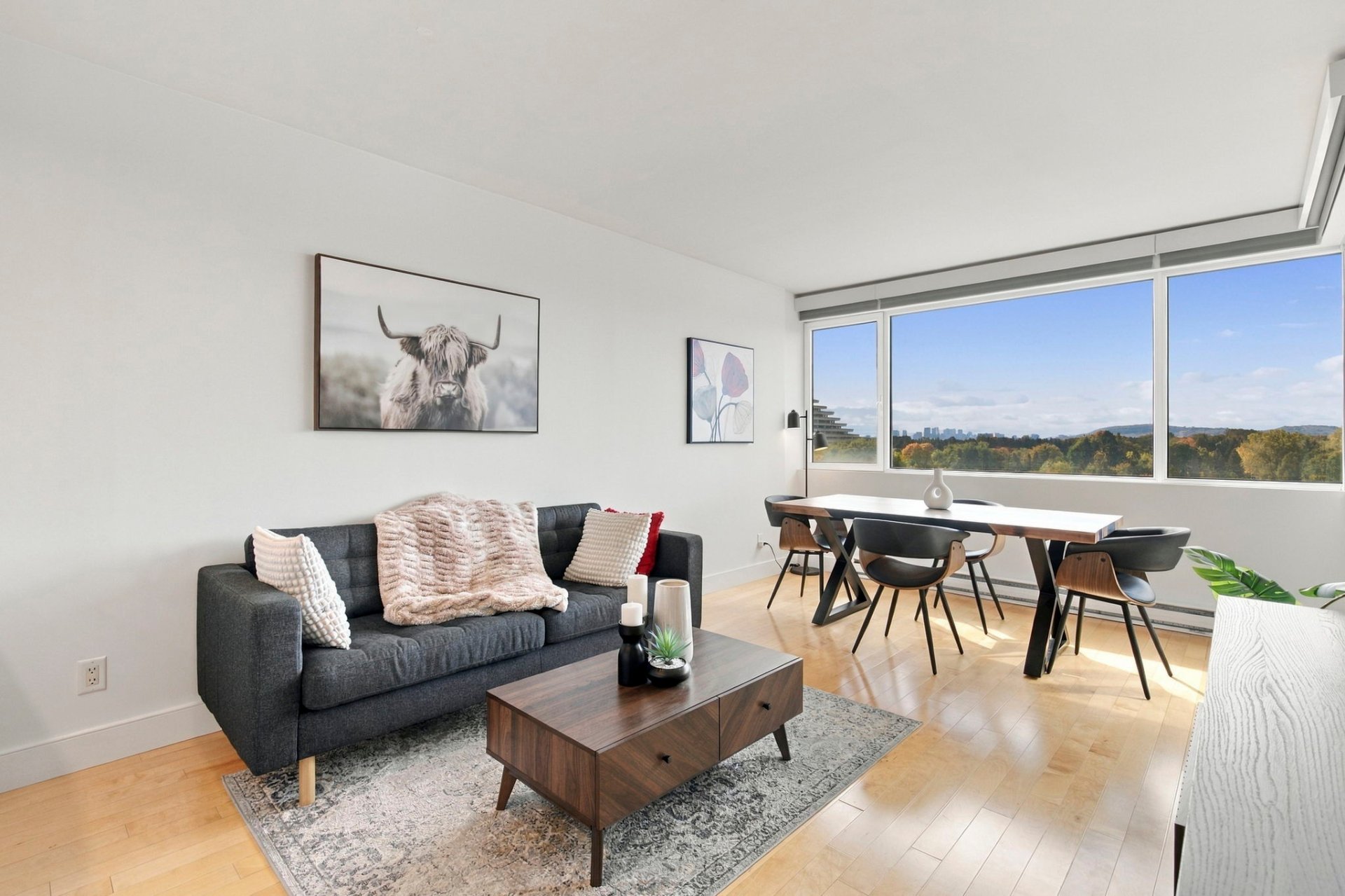 Bright living room, southwest windows
