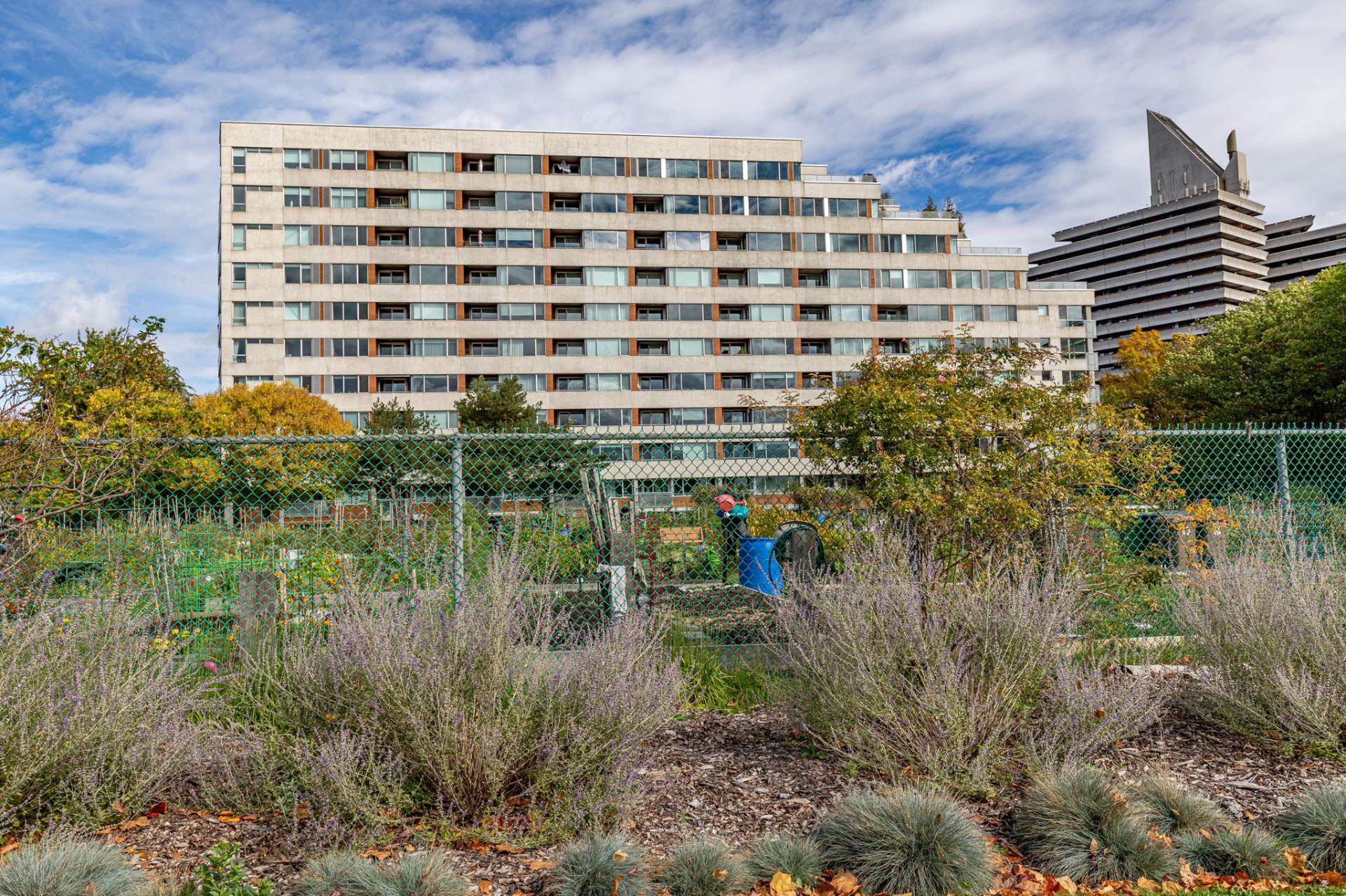 Neighbouring community gardens
