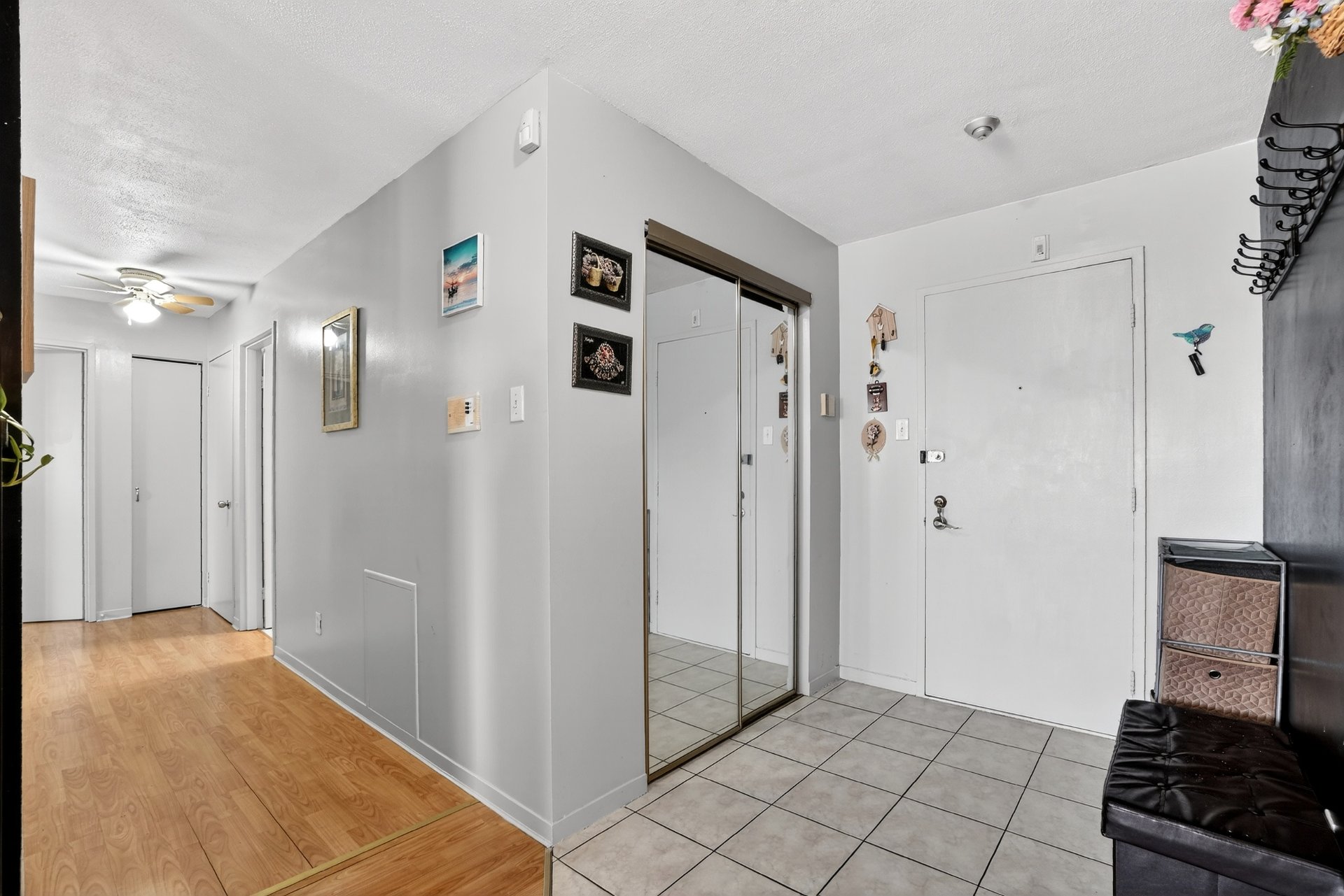 Hall d'entrée/Vestibule