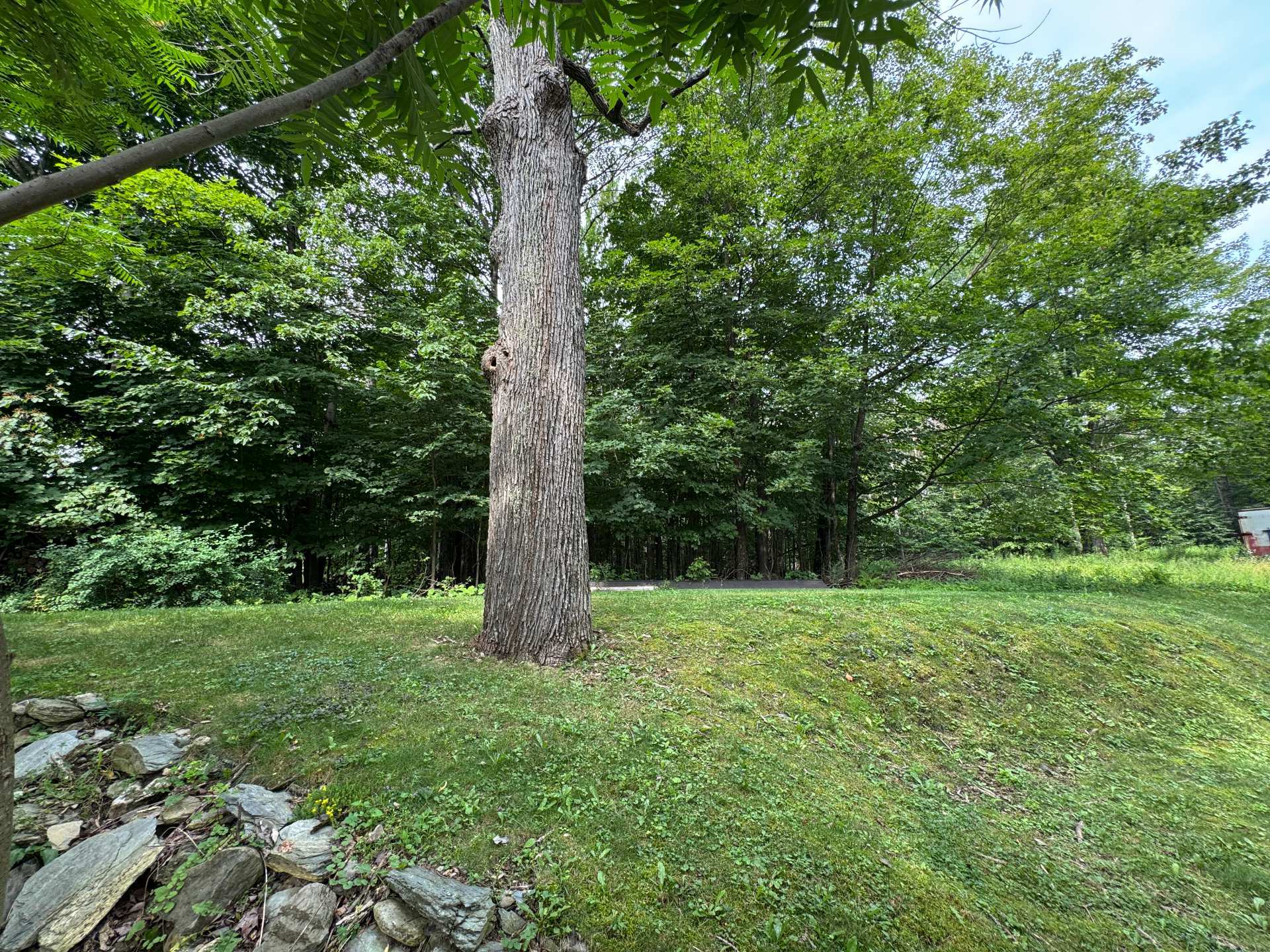 Land/Lot