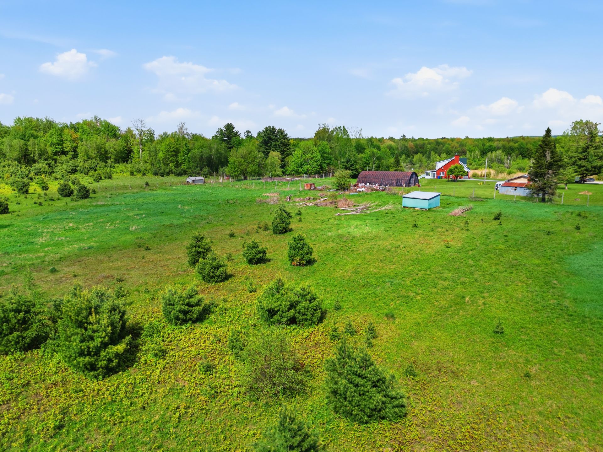Overall View