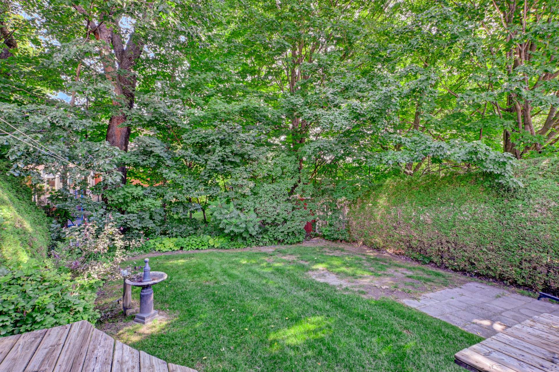 Backyard