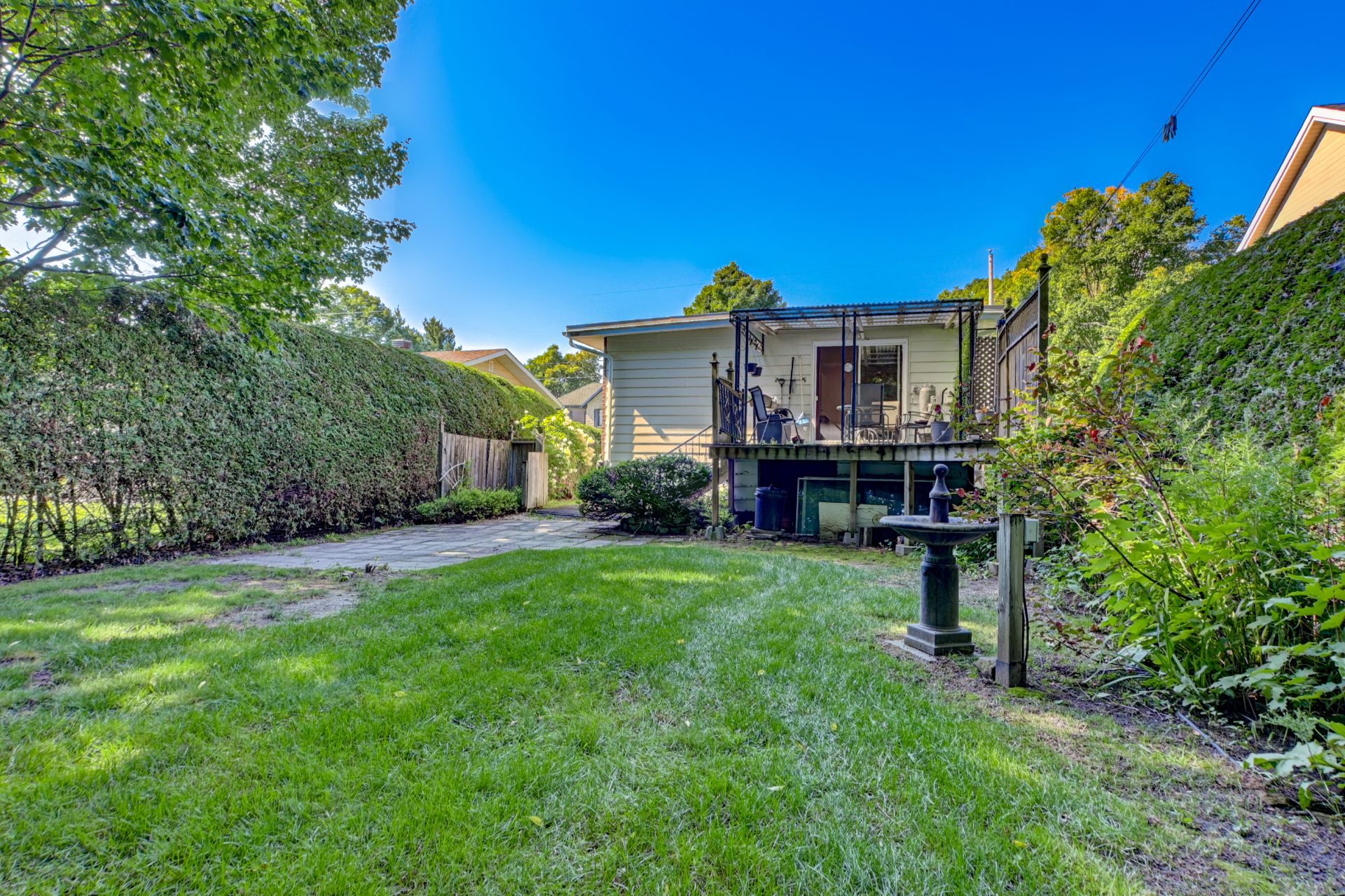 Backyard