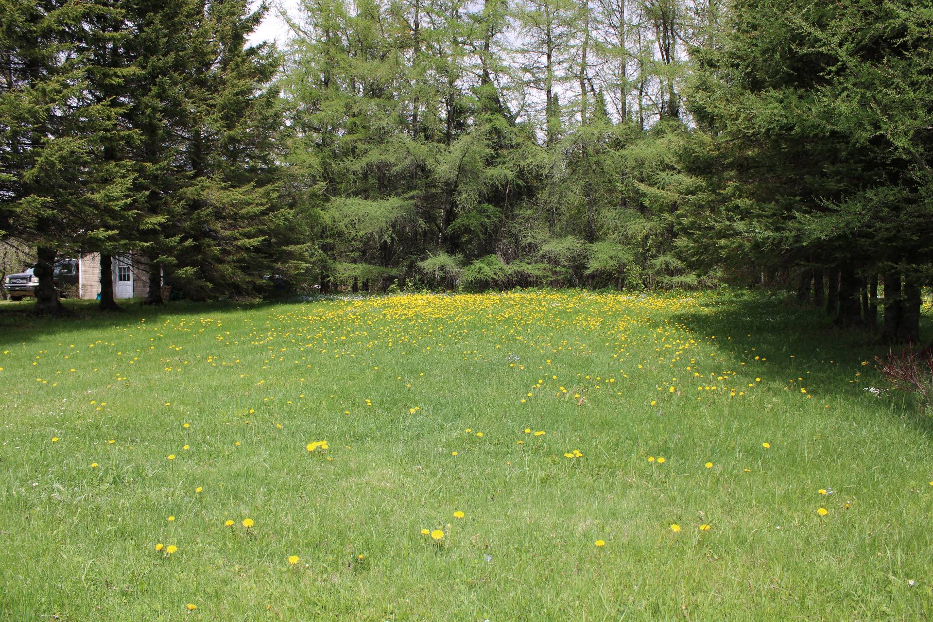Land/Lot