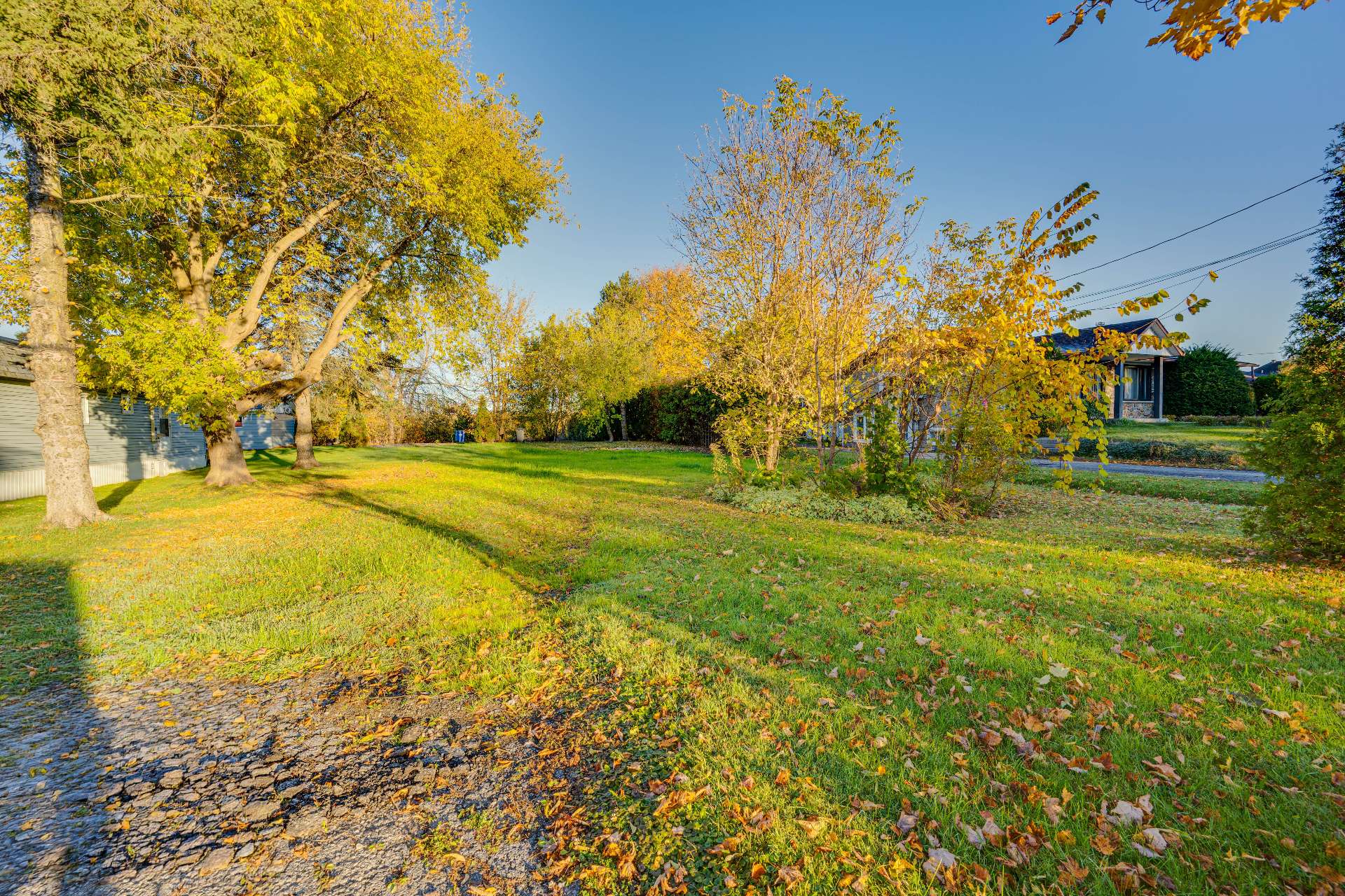 Land/Lot