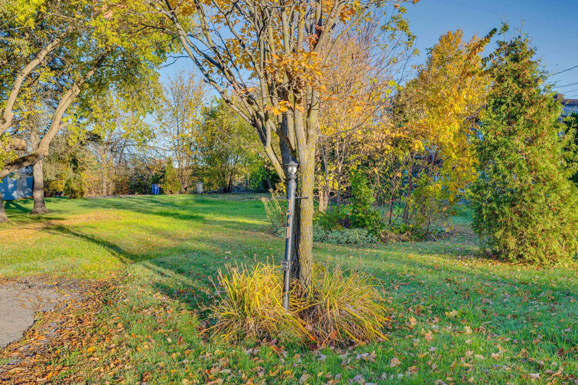 Land/Lot