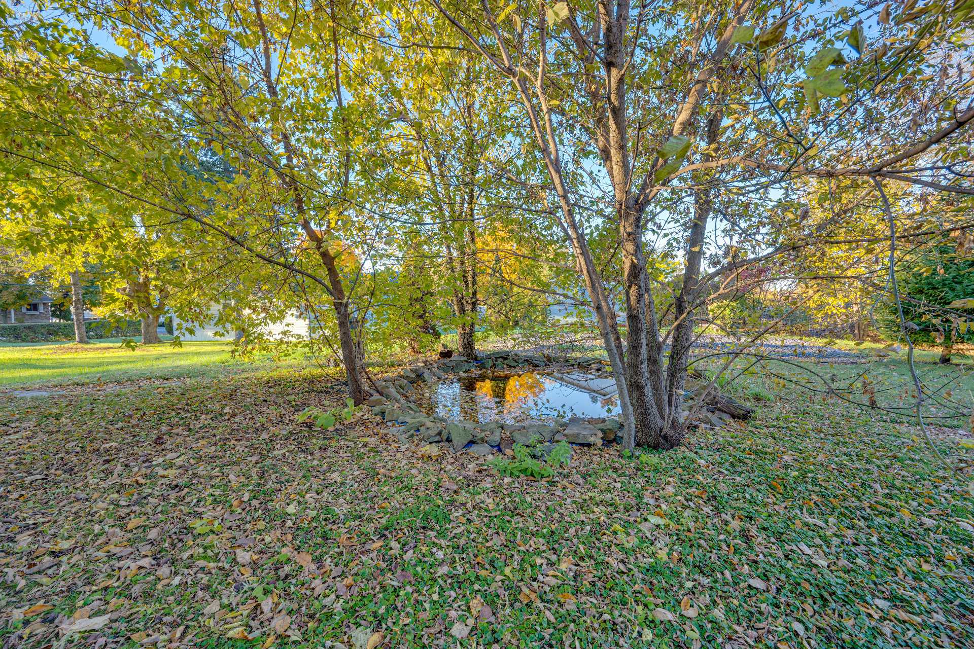 Land/Lot