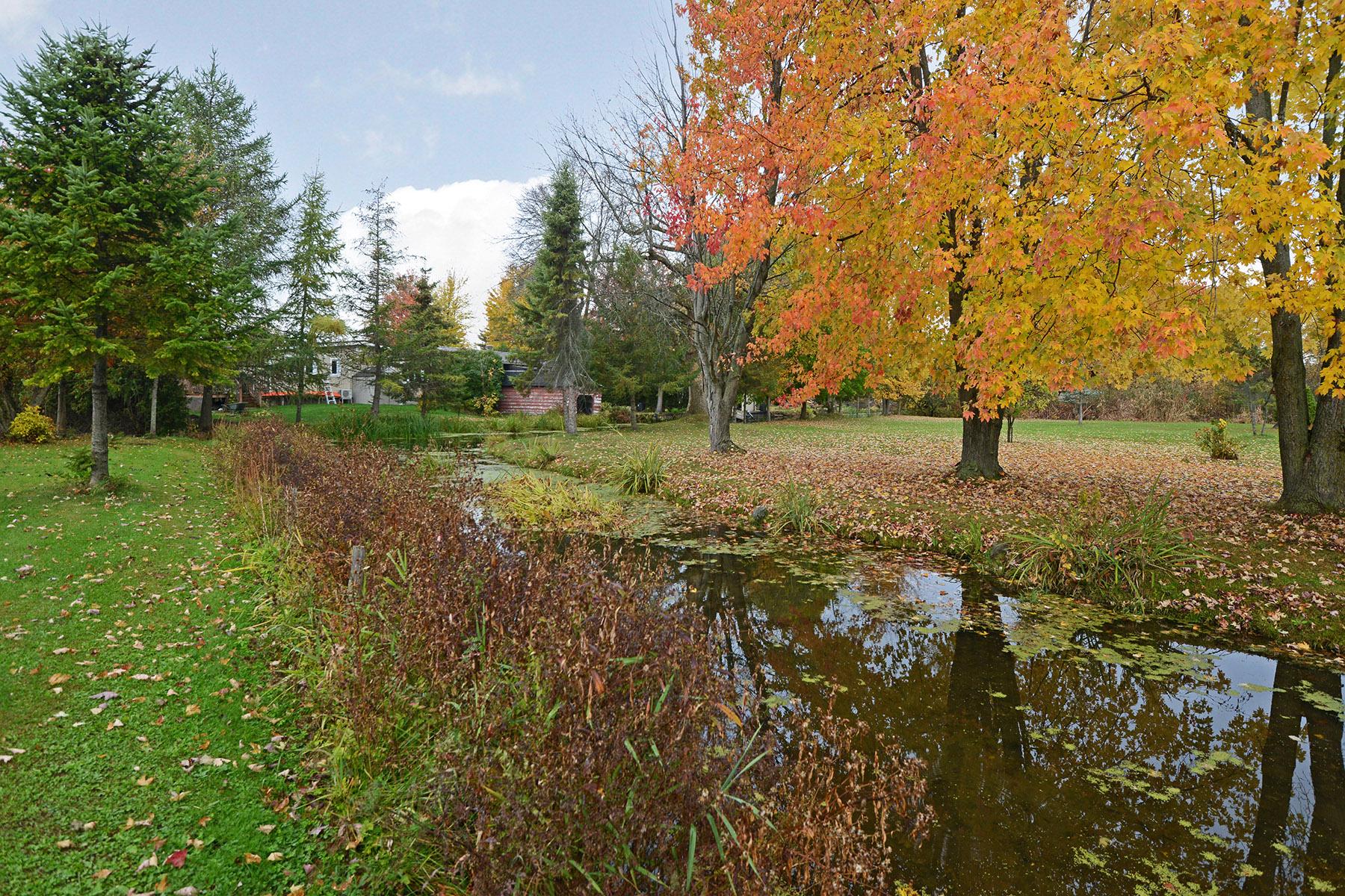 Bord de l'eau