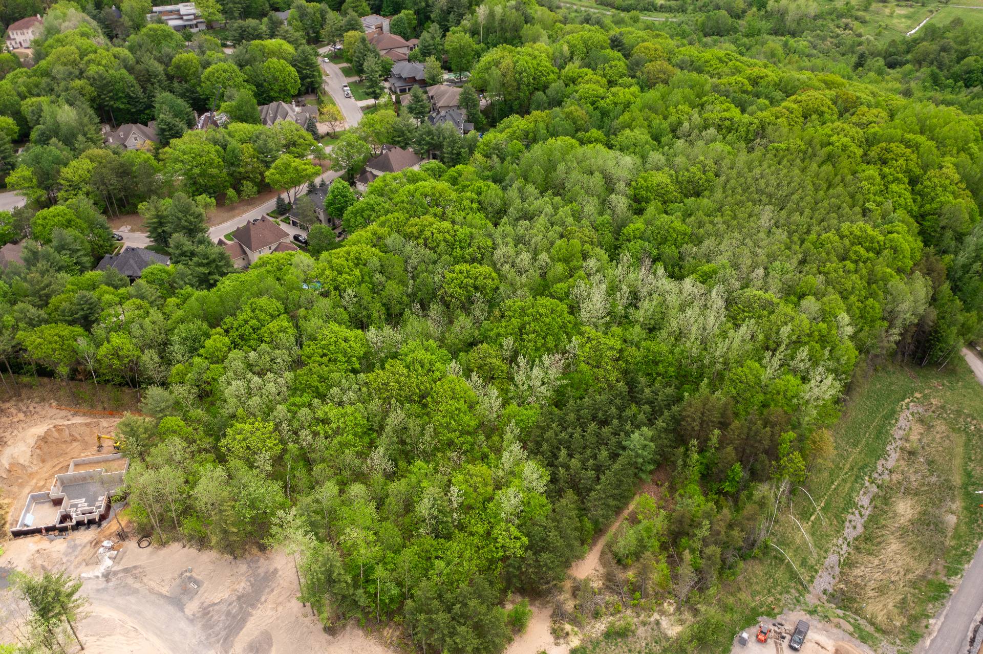 Terre/Terrain