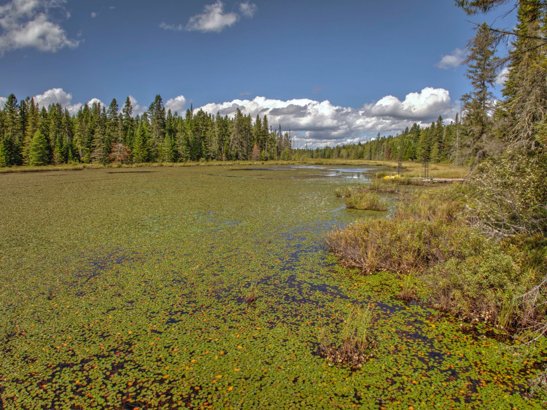 Vue sur l'eau