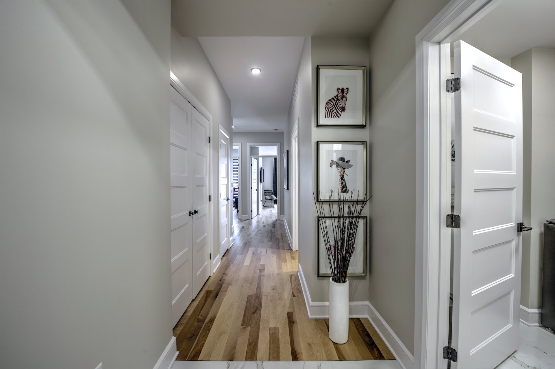 Hall d'entrée/Vestibule