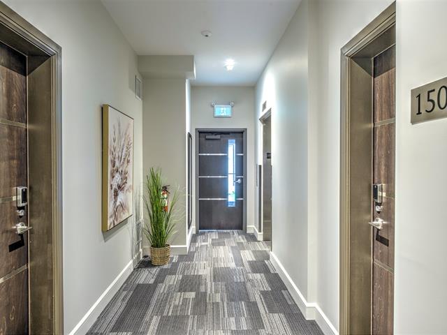 Hall d'entrée/Vestibule