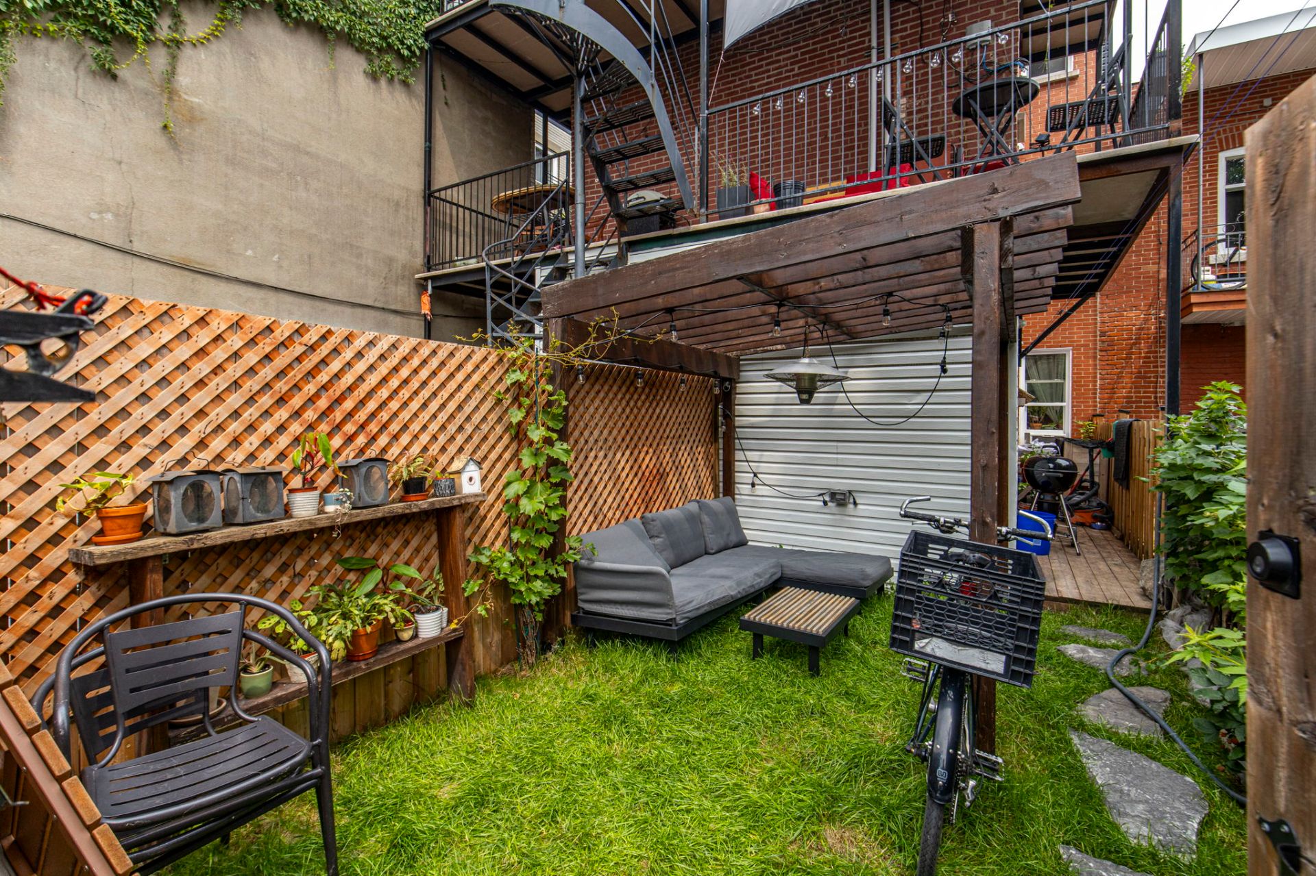 Backyard