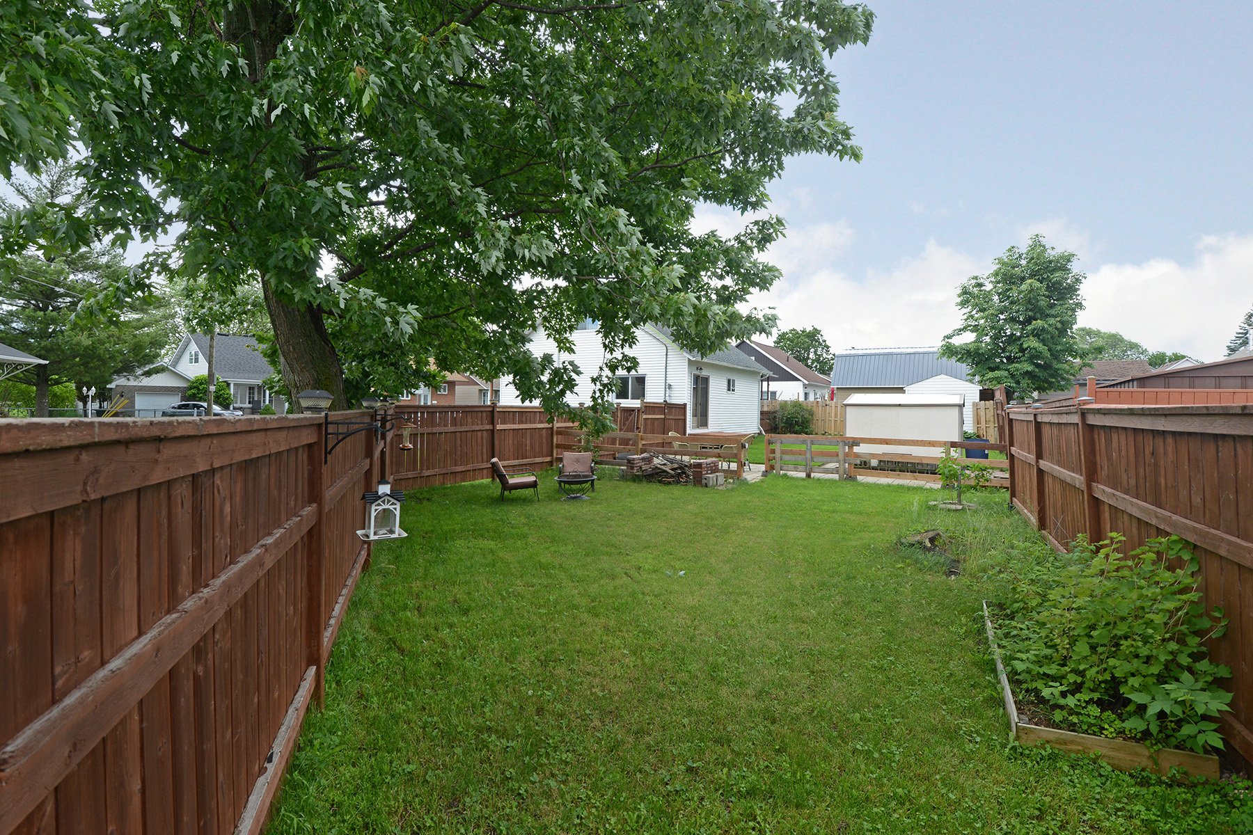 Backyard