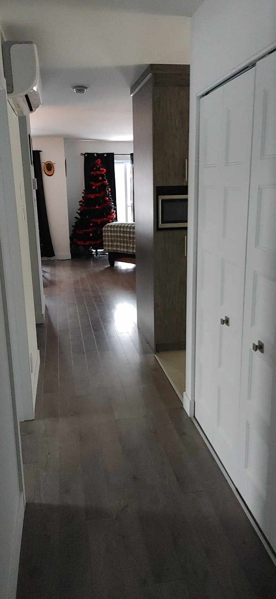 Hall d'entrée/Vestibule