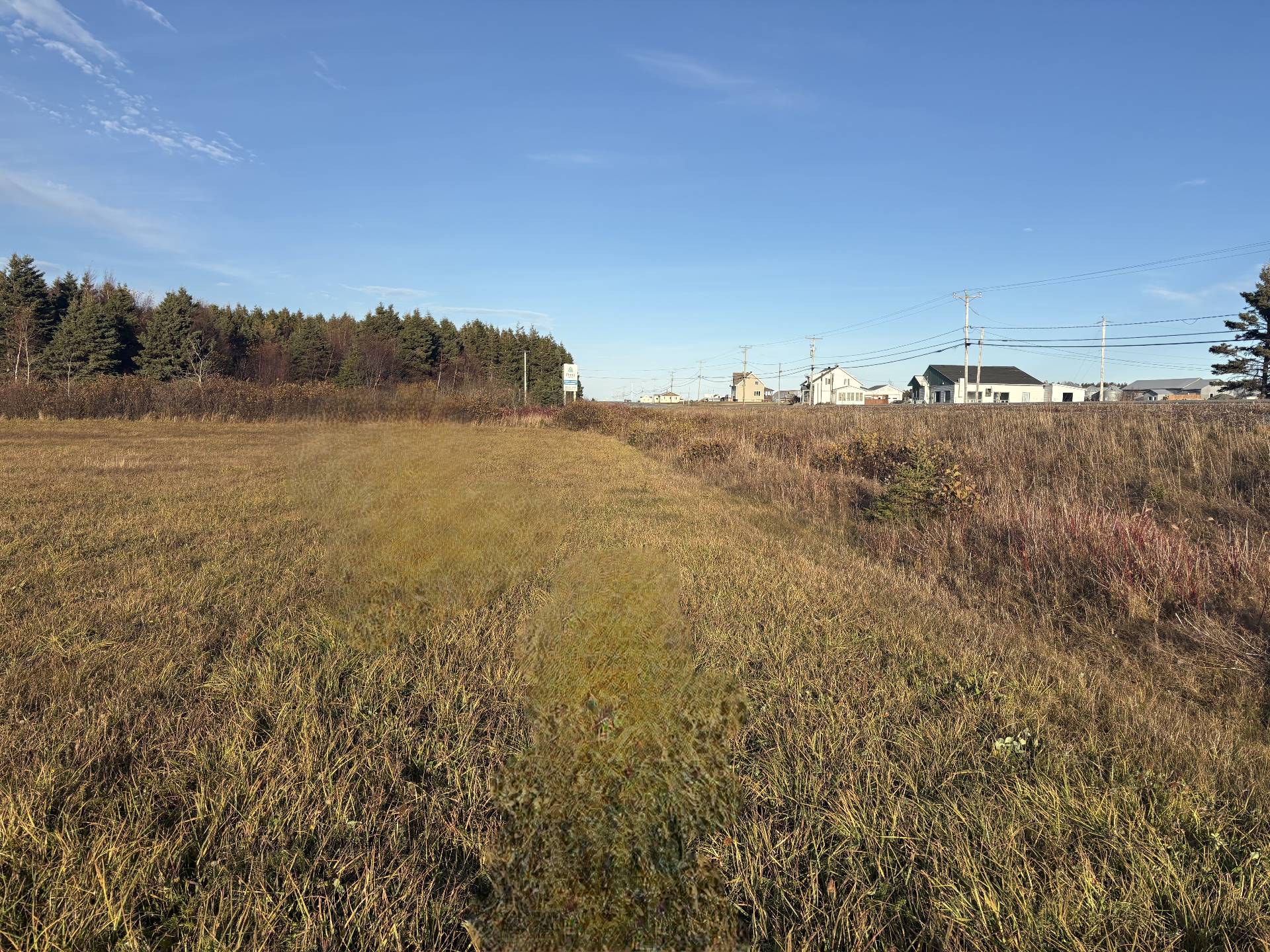 Terre/Terrain