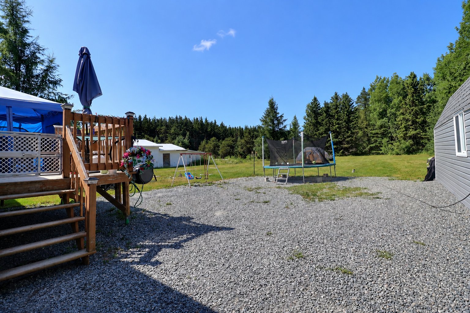 Backyard