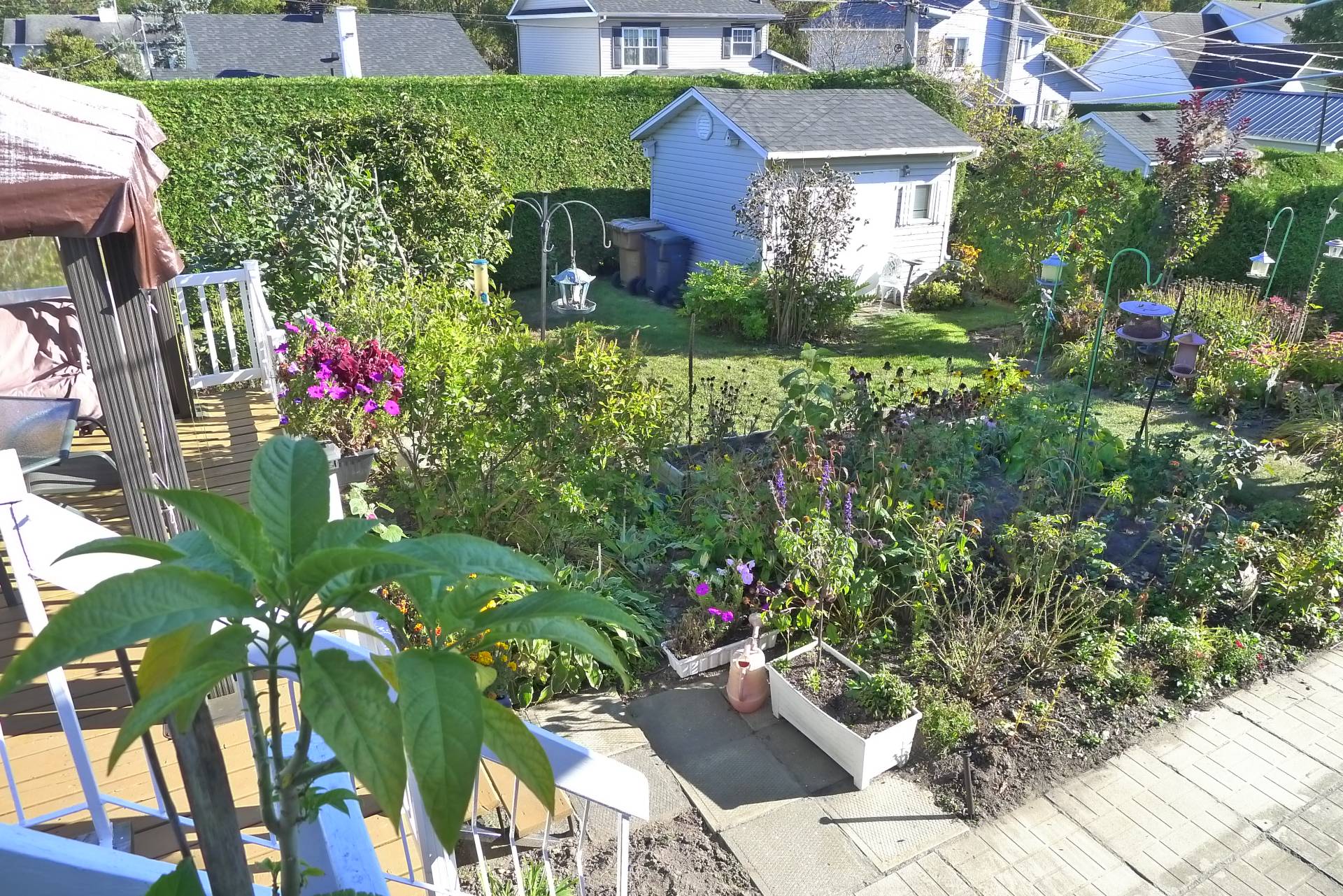 Land/Lot