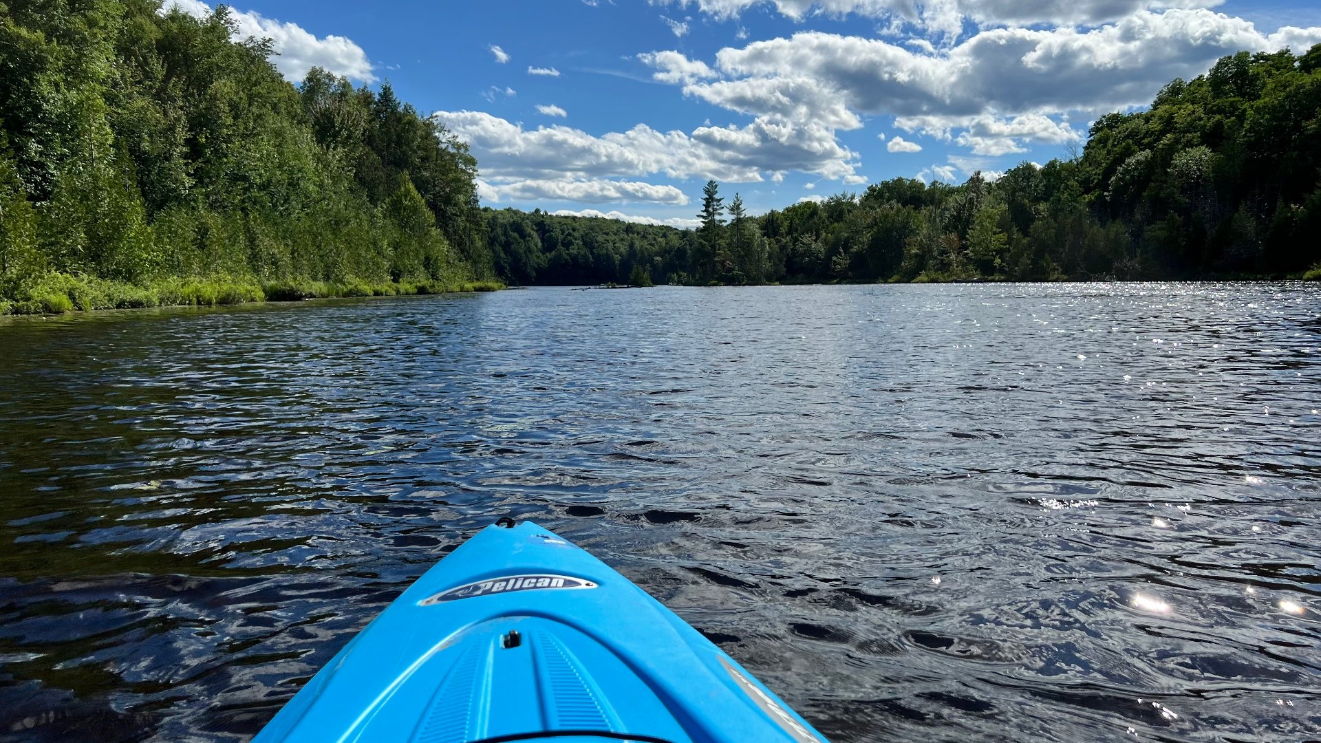 Bord de l'eau