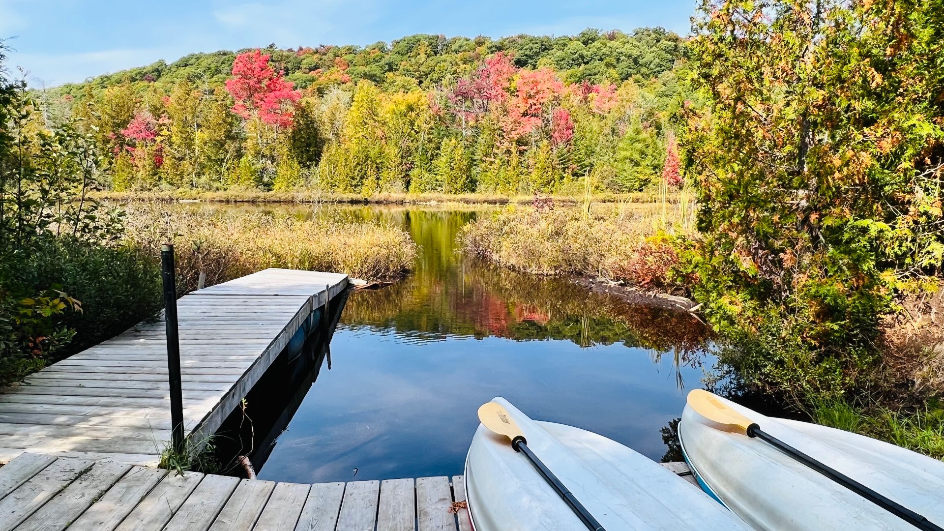 Bord de l'eau