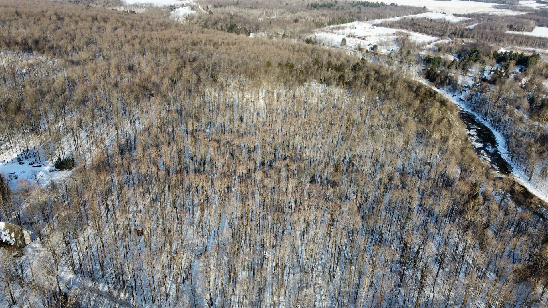 Aerial photo