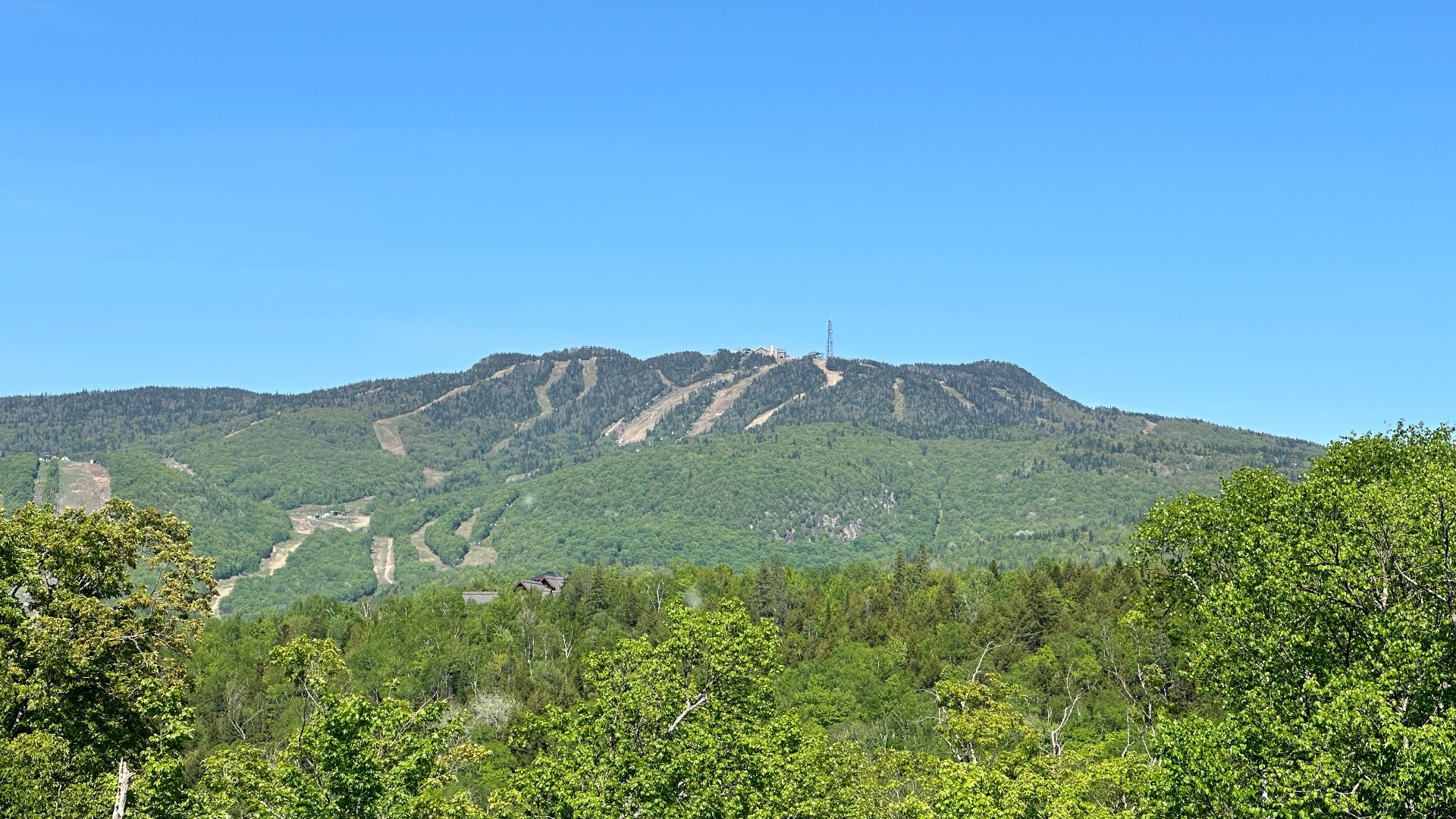 Vue