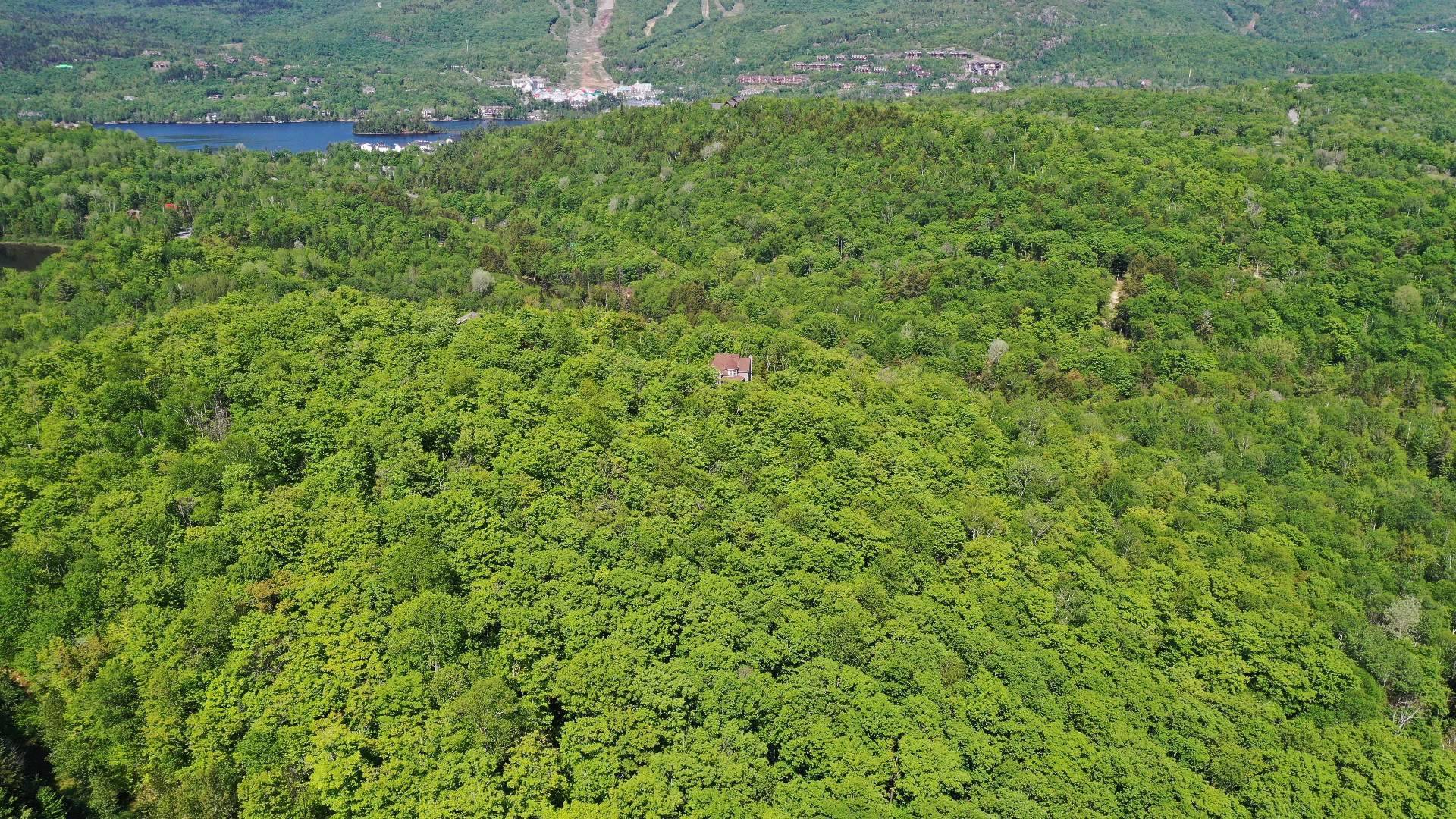 Vue
