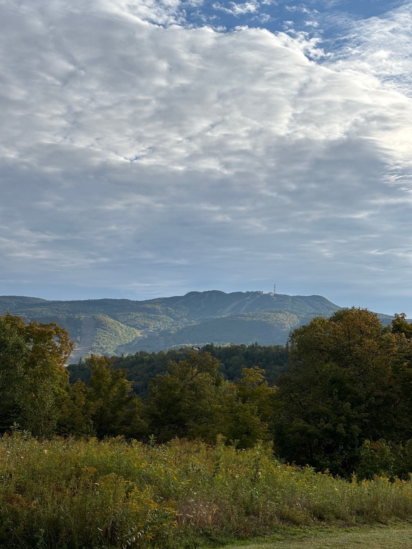 Vue