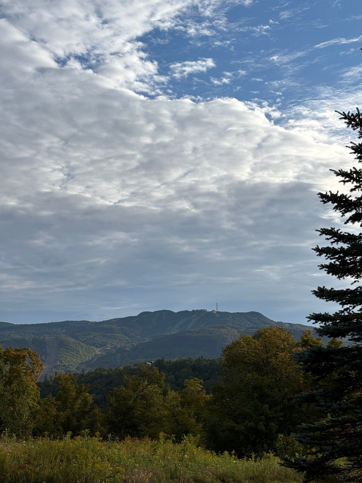 Vue