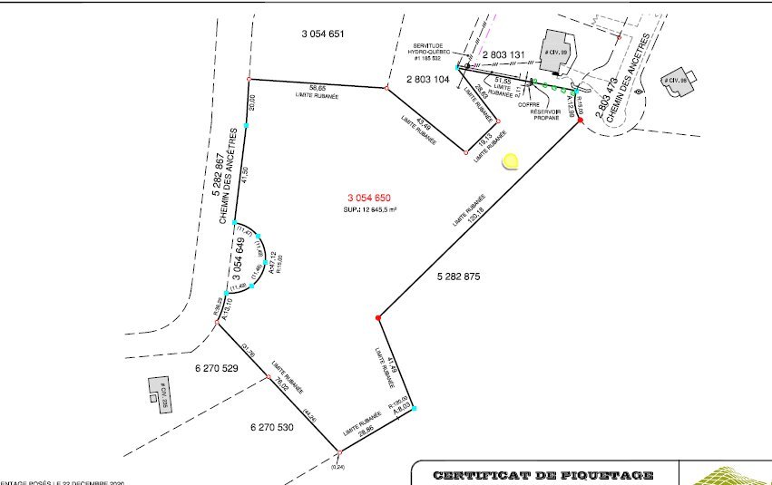 Certificat de piquetage