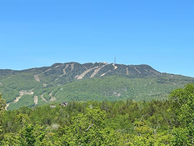 Vue
