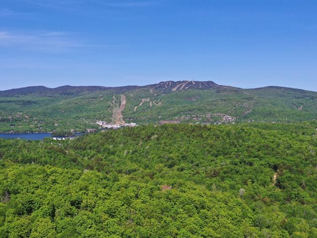 Vue