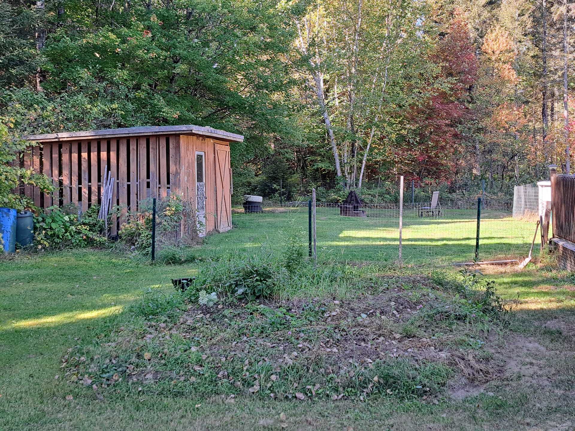 Shed